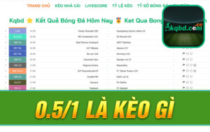 0.5/1 Là Kèo Gì