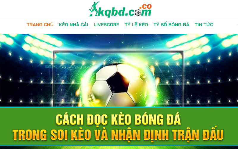 Cách đọc kèo bóng đá trong soi kèo và nhận định trận đấu