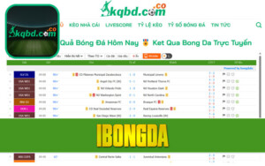 Ibongda