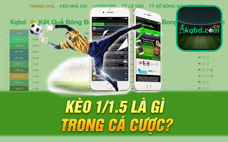 Kèo 1/1.5 Là Gì Trong Cá Cược?