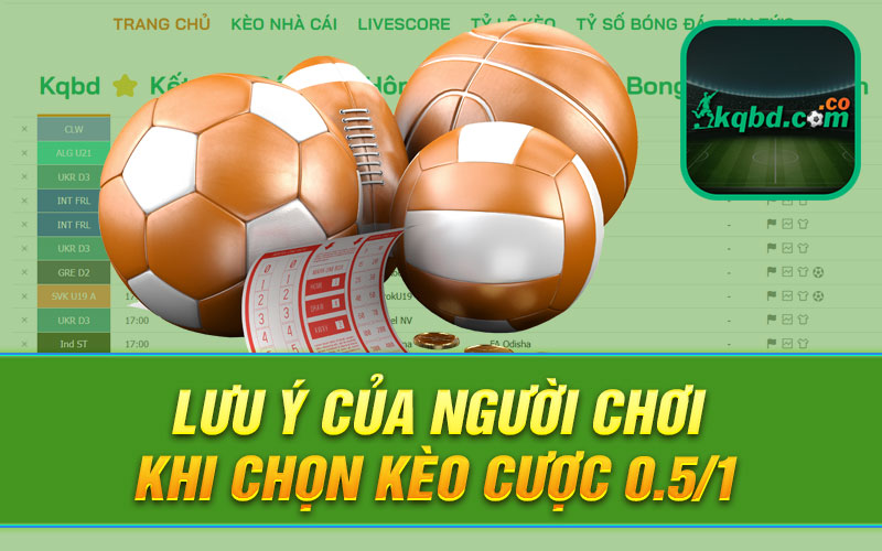 Lưu ý của người chơi khi chọn kèo cược 0.5/1