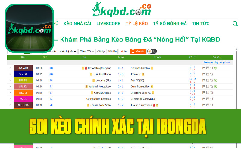 Soi kèo chính xác tại Ibongda